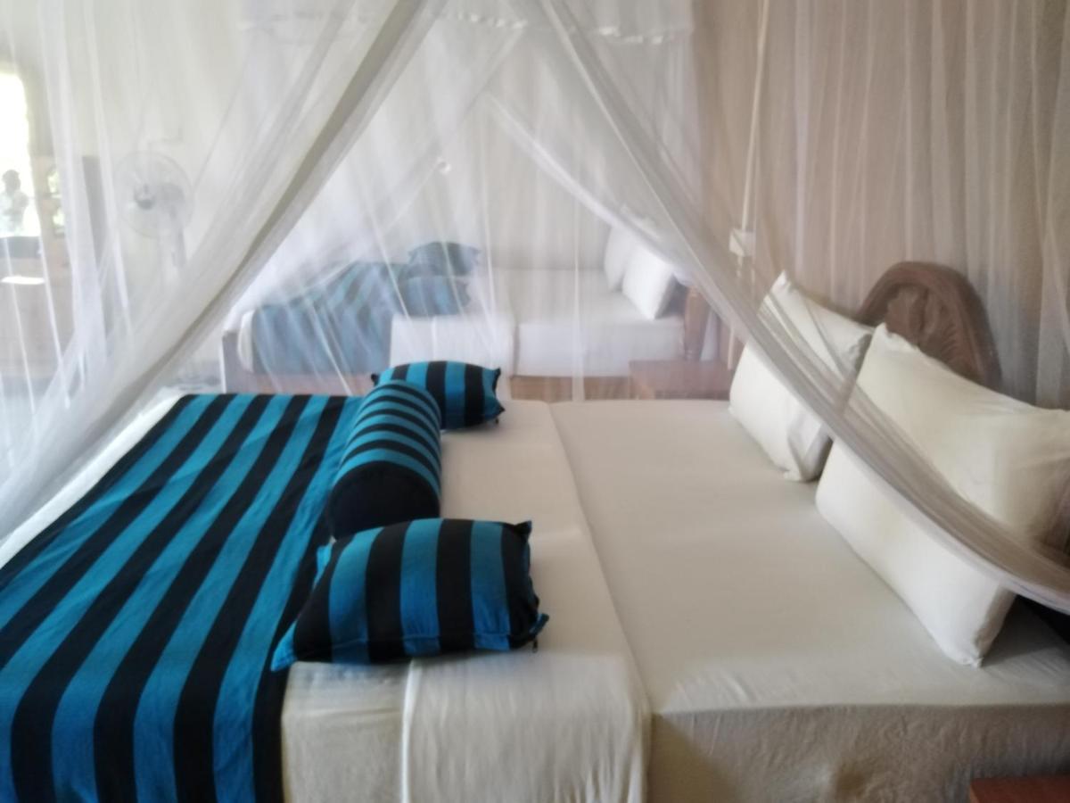 Blue Ribbon Homestay Ella Εξωτερικό φωτογραφία