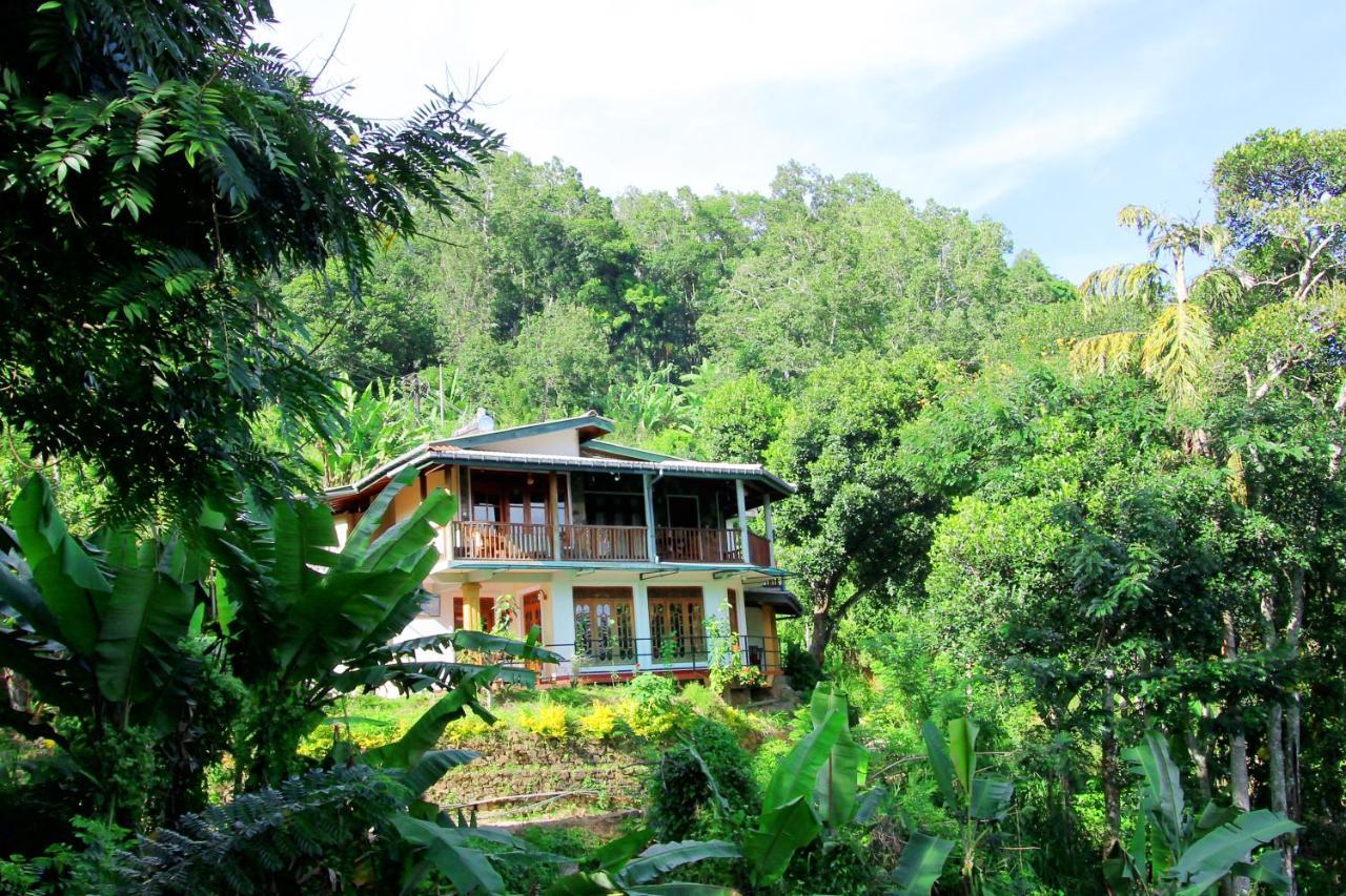 Blue Ribbon Homestay Ella Εξωτερικό φωτογραφία